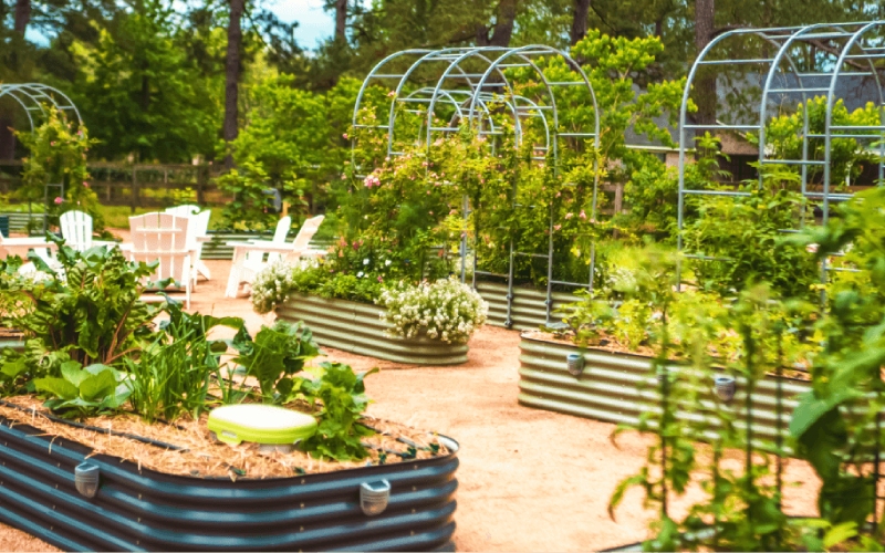 raised garden bed kit