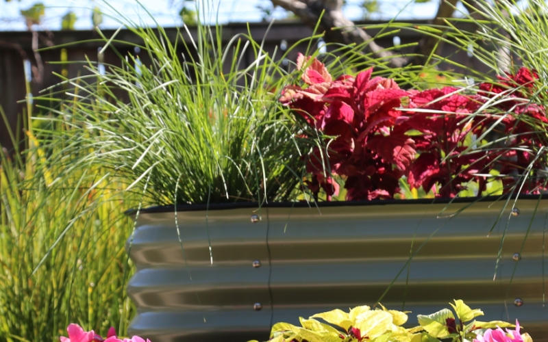 raised garden bed kit