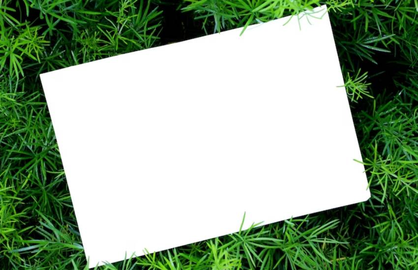 medical marijuana card