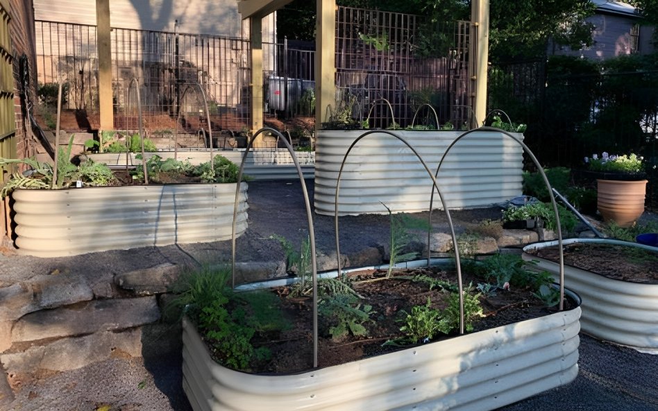 Raised garden beds for sale