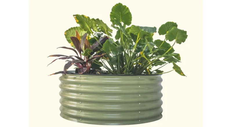 raised garden boxes
