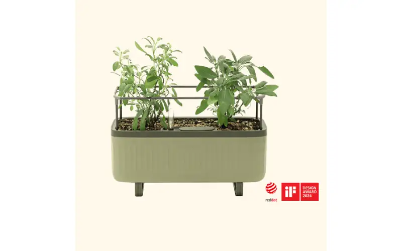 planter raised beds