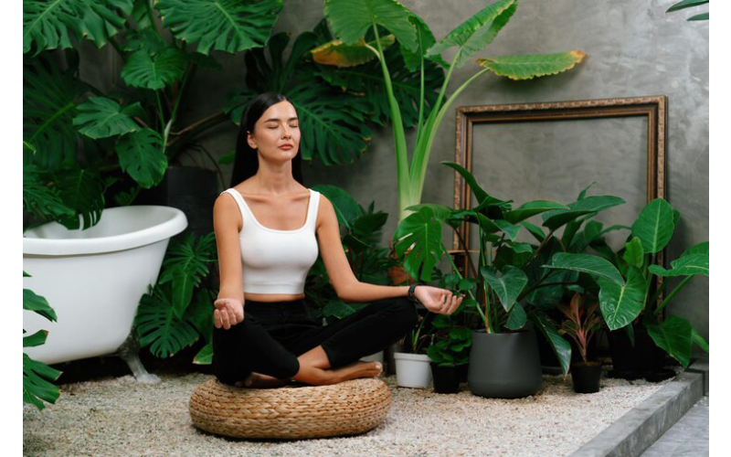 holistic wellness solutions
