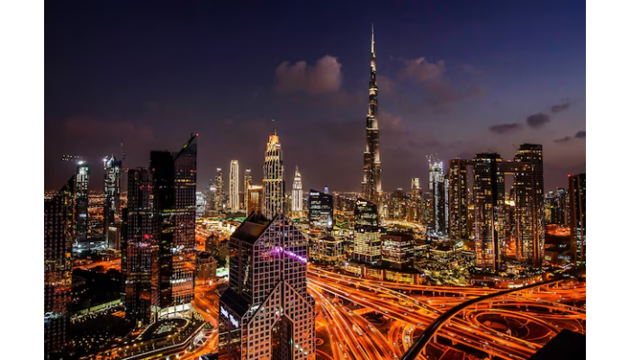 The Importance Of Expert Guidance In Choosing The Right Visa For Your Needs