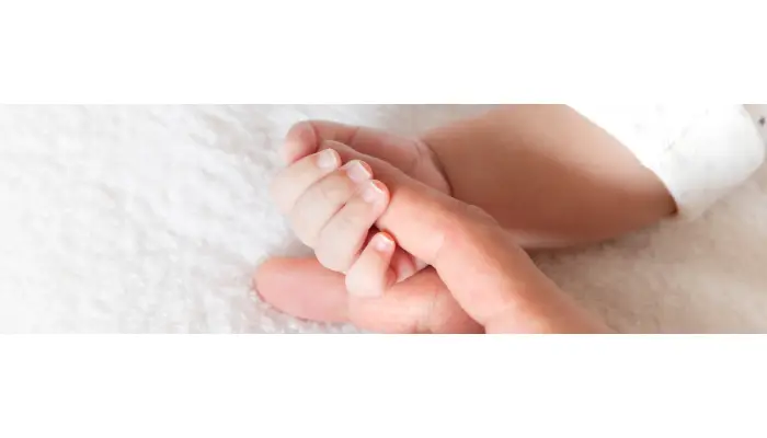 How Egg Donor Matching Services Can Help You Build Your Family?