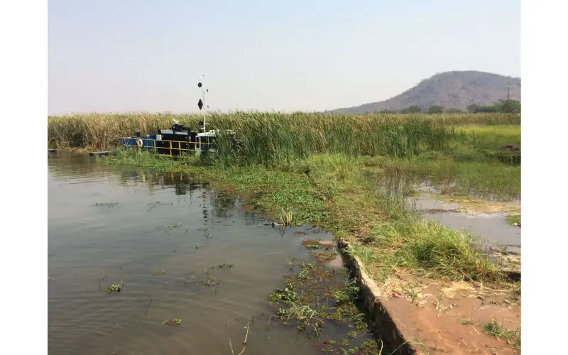 vegetation dredge