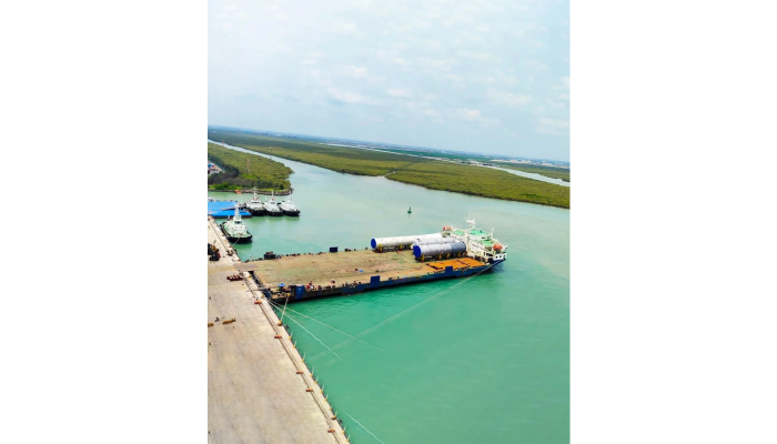 Why Choose Professional Logistic Services For International Shipments?