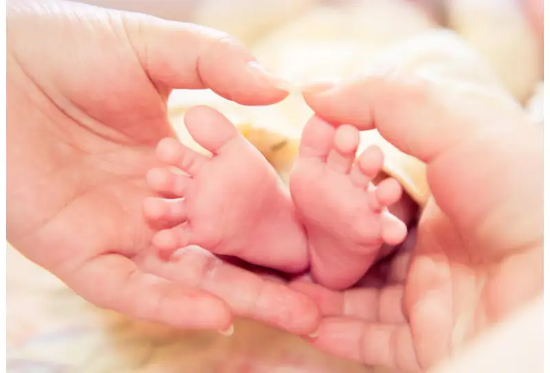 San diego egg donation 